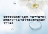 快要下雨了动物有什么表现（下雨了下雨了什么动物躲进了什么伞 下雨了下雨了哪些动物躲进了什么伞）