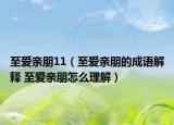 至爱亲朋11（至爱亲朋的成语解释 至爱亲朋怎么理解）
