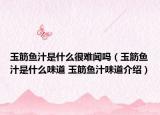 玉筋鱼汁是什么很难闻吗（玉筋鱼汁是什么味道 玉筋鱼汁味道介绍）