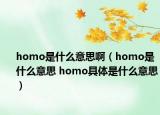homo是什么意思啊（homo是什么意思 homo具体是什么意思）