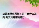 龙井是什么茶树（龙井是什么茶类 关于龙井茶介绍）