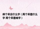 俩个呆念什么字（两个呆是什么字 两个呆是啥字）