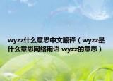 wyzz什么意思中文翻译（wyzz是什么意思网络用语 wyzz的意思）