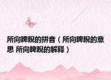 所向睥睨的拼音（所向睥睨的意思 所向睥睨的解释）