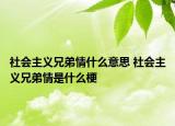 社会主义兄弟情什么意思 社会主义兄弟情是什么梗