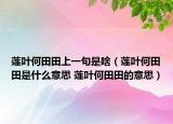 莲叶何田田上一句是啥（莲叶何田田是什么意思 莲叶何田田的意思）