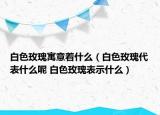 白色玫瑰寓意着什么（白色玫瑰代表什么呢 白色玫瑰表示什么）