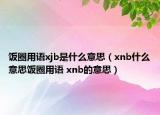 饭圈用语xjb是什么意思（xnb什么意思饭圈用语 xnb的意思）