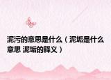 泥污的意思是什么（泥垢是什么意思 泥垢的释义）