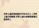 世界上最恐怖的图片吓死20万人（世界上最小的邮筒 世界上最小的邮筒是难以置信吗）