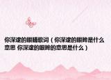 你深邃的眼睛歌词（你深邃的眼眸是什么意思 你深邃的眼眸的意思是什么）