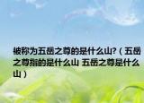 被称为五岳之尊的是什么山?（五岳之尊指的是什么山 五岳之尊是什么山）