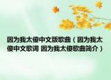 因为我太傻中文版歌曲（因为我太傻中文歌词 因为我太傻歌曲简介）