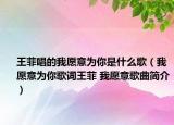 王菲唱的我愿意为你是什么歌（我愿意为你歌词王菲 我愿意歌曲简介）