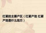 红薯的主要产区（红薯产地 红薯产地是什么地方）