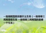 一地绿树真阴凉是什么生肖（一地绿草三鸡窝是啥生肖 一地绿草三鸡窝指的是哪一个生肖）