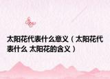 太阳花代表什么意义（太阳花代表什么 太阳花的含义）