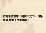 树高千丈意思（树高千丈下一句是什么 树高千丈的出处）