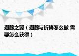 翅膀之翼（翅膀与祈祷怎么做 需要怎么获得）