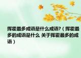 挥霍最多成语是什么成语?（挥霍最多的成语是什么 关于挥霍最多的成语）