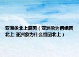 亚洲象北上原因（亚洲象为何组团北上 亚洲象为什么组团北上）