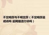 不觉明厉与不明觉厉（不觉明厉是成语吗 是网络流行语吗）