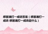 感冒通打一成语答案（感冒通打一成语 感冒通打一成语是什么）
