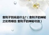 舍利子到底是什么?（舍利子的神秘之处有哪些 舍利子的神秘功效）