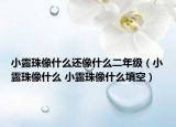 小露珠像什么还像什么二年级（小露珠像什么 小露珠像什么填空）