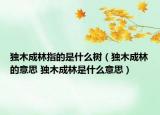 独木成林指的是什么树（独木成林的意思 独木成林是什么意思）