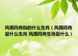风雨同舟指的什么生肖（风雨同舟是什么生肖 风雨同舟生肖是什么）