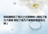 你知道阿拉丁有几个兄弟啊吗（阿拉丁有几个哥哥 阿拉丁有几个哥哥的答案有几种）