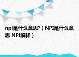 npi是什么意思?（NPI是什么意思 NPI解释）