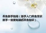 养鱼新手指南（新手入门养鱼常识 新手一定要知道的养鱼知识）