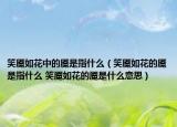 笑魇如花中的魇是指什么（笑魇如花的魇是指什么 笑魇如花的魇是什么意思）