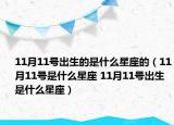 11月11号出生的是什么星座的（11月11号是什么星座 11月11号出生是什么星座）