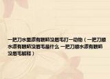 一把刀水里漂有眼睛没眉毛打一动物（一把刀顺水漂有眼睛没眉毛是什么 一把刀顺水漂有眼睛没眉毛解释）