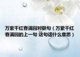 万紫千红春满园对联句（万紫千红春满园的上一句 这句话什么意思）