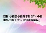 题目:小白加小白等于什么?（小白加小白等于什么 你知道答案吗）