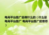 电商平台推广是做什么的（什么是电商平台推广 电商平台推广的意思）