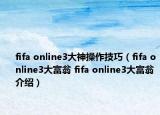 fifa online3大神操作技巧（fifa online3大富翁 fifa online3大富翁介绍）