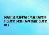 风起云涌风生水起（风生云起成语什么意思 风生云起成语是什么意思 呢）
