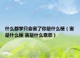 什么都学只会害了你是什么梗（害是什么梗 害是什么意思）