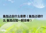 鱼加占念什么意思（鱼加占读什么 鱼加占加一起念啥）
