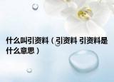 什么叫引资料（引资料 引资料是什么意思）