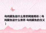 乌鸡鲅鱼是什么意思网络用语（乌鸡鲅鱼是什么意思 乌鸡鲅鱼的含义）