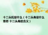 十二头陀是什么（十二头身是什么意思 十二头身的含义）