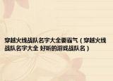 穿越火线战队名字大全要霸气（穿越火线战队名字大全 好听的游戏战队名）
