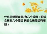 什么是蚂蚁会员?有几个等级（蚂蚁会员有几个等级 蚂蚁会员等级有哪些）