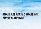 斜风什么什么成语（斜风的意思是什么 斜风的解释）